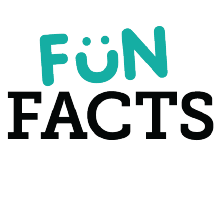 10 Fun Facts – The New Dealer